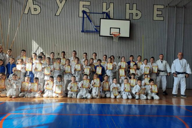 Двије медаље за љубињске џудисте